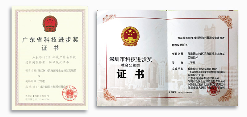 科技進(jìn)步獎