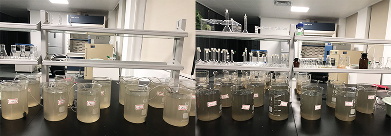 黑臭河道治理中的生物修復技術(shù)