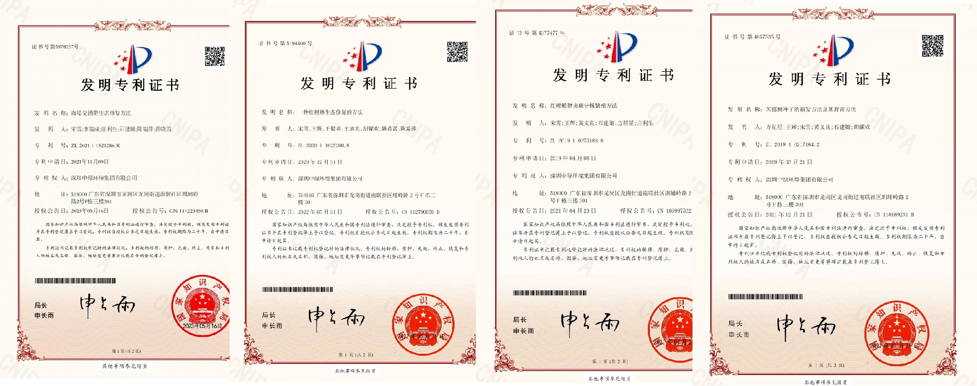 發(fā)明專利第一頁